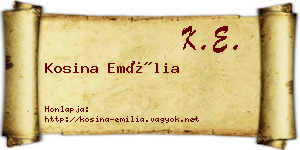 Kosina Emília névjegykártya